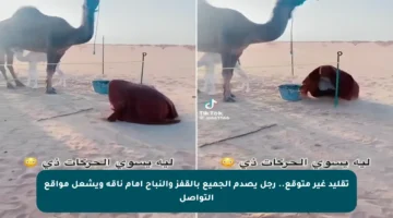 تقليد غير متوقع.. رجل يصدم الجميع بالقفز والنباح أمام ناقة ويشعل مواقع التواصل